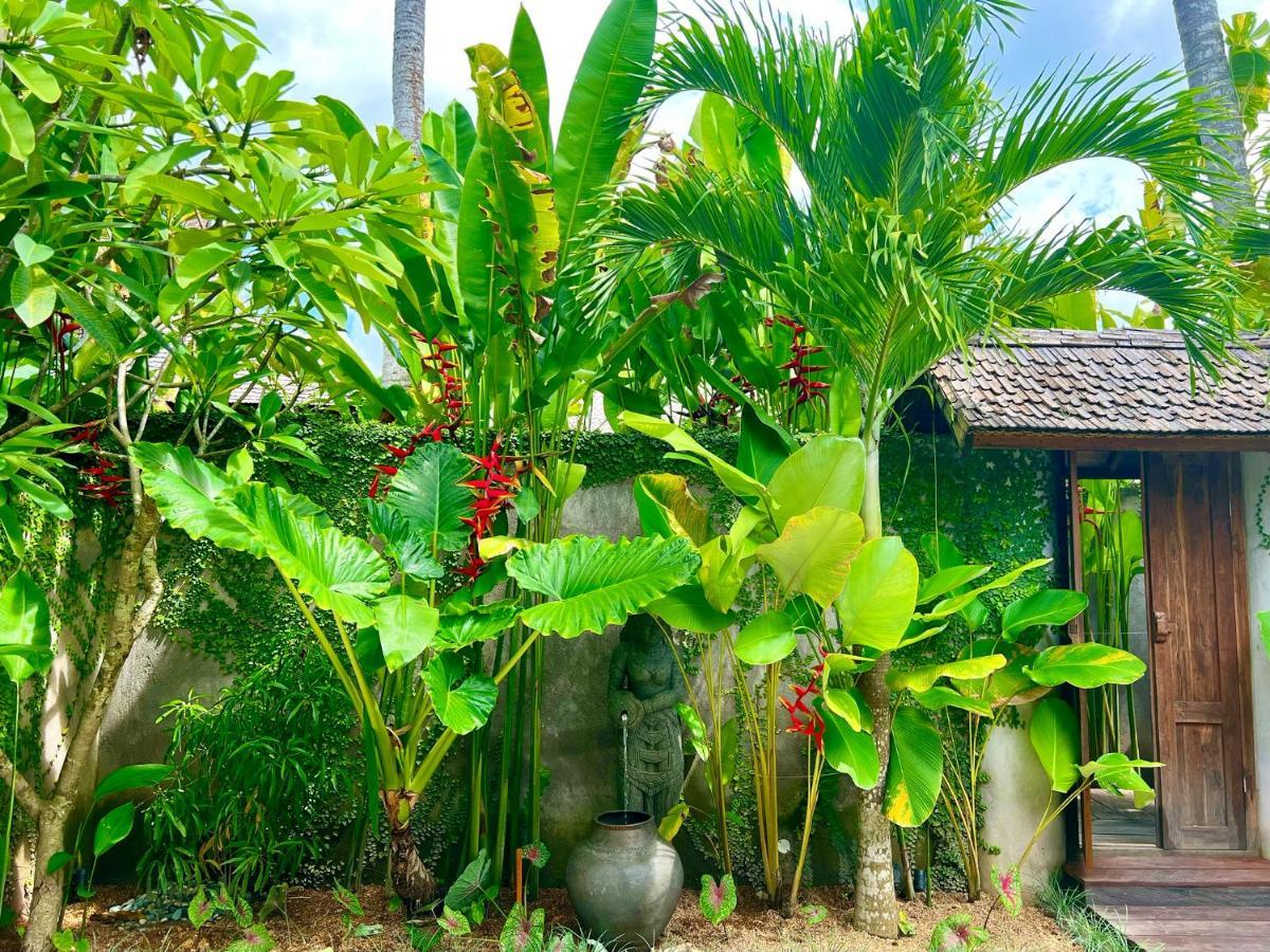 Jati Kuta Lombok酒店 外观 照片